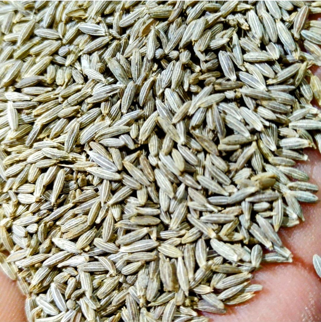 cumin seeds spices category - Shop online